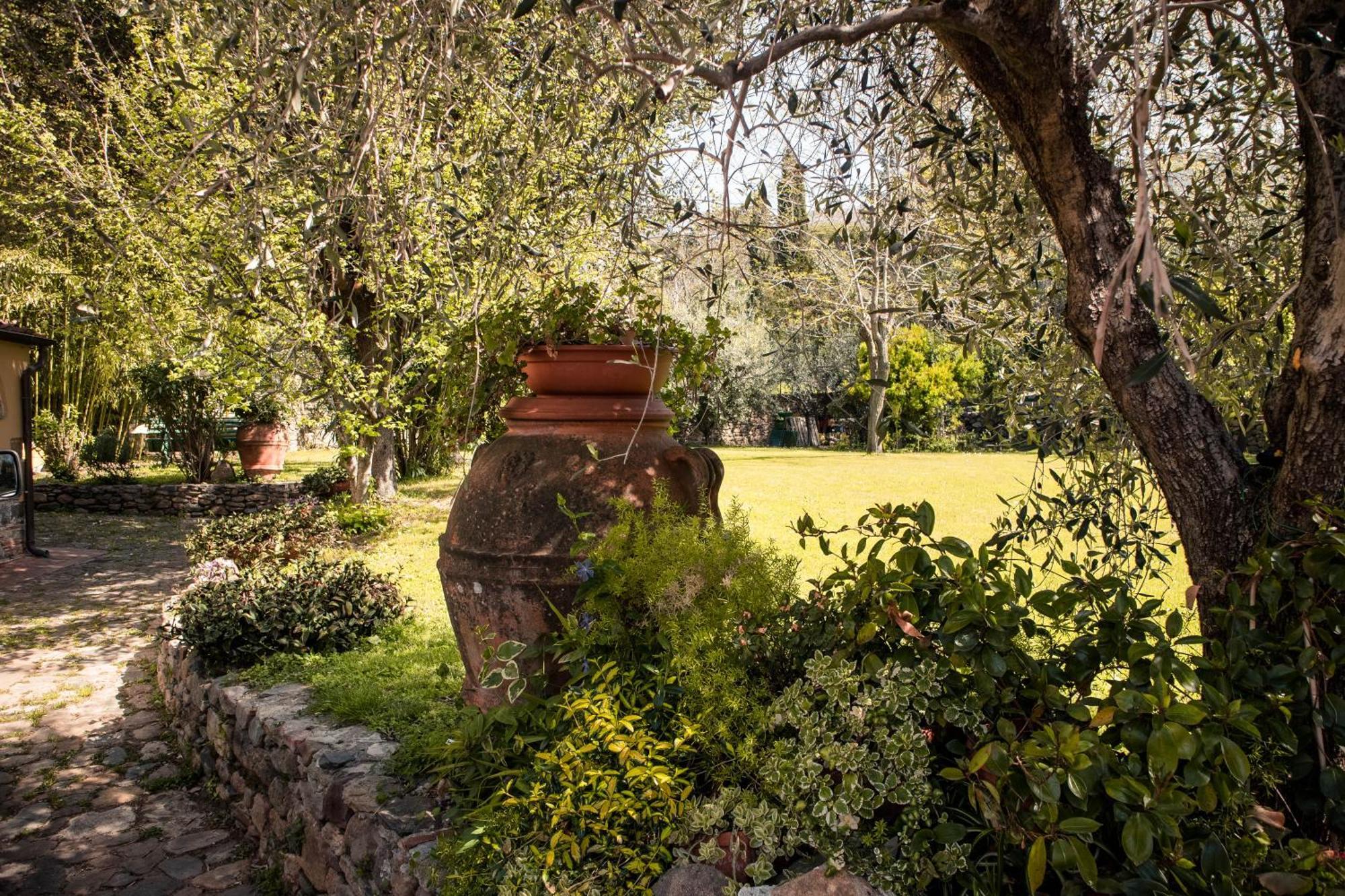 Social Garden - Sharing Room Calci Exterior foto